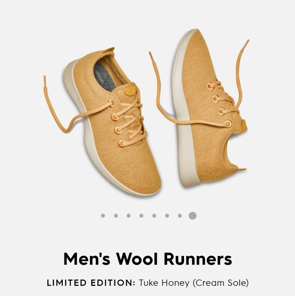 NWT AllBirds Men's Wool Runners